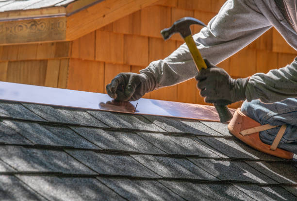 Best Skylight Installation and Repair  in Buchanan, VA