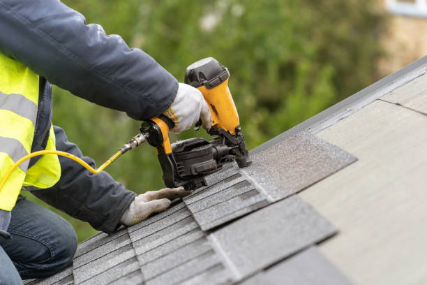 Best Gutter Replacement  in Buchanan, VA
