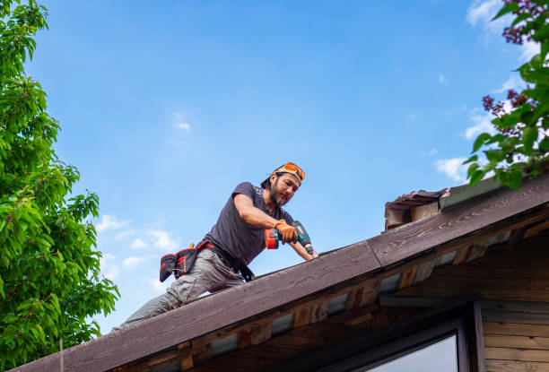 Best Roof Coating and Sealing  in Buchanan, VA