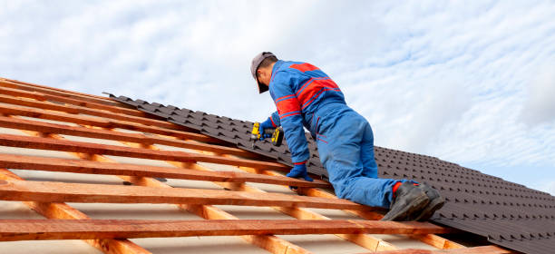 Best Solar Panel Roofing Installation  in Buchanan, VA