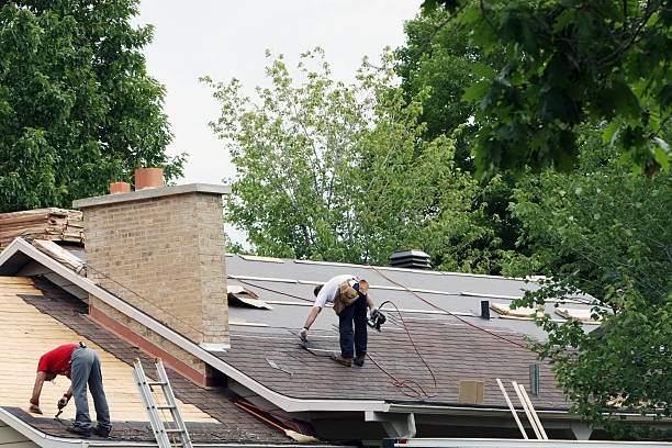 Best Storm Damage Roof Repair  in Buchanan, VA
