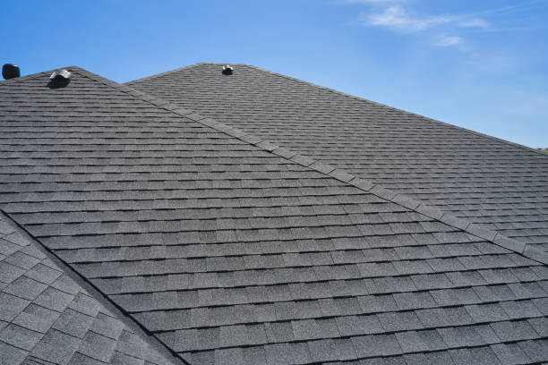 Best Sheet Metal Roofing  in Buchanan, VA